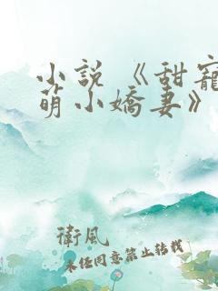 小说 《甜宠呆萌小娇妻》