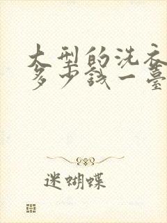 大型的洗衣设备多少钱一台