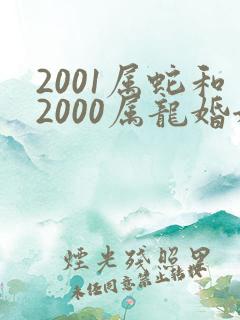 2001属蛇和2000属龙婚姻好不好