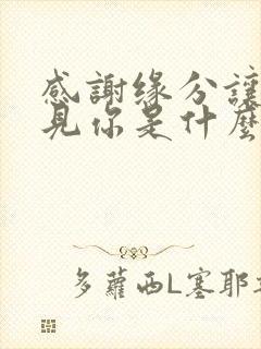 感谢缘分让我遇见你是什么歌名