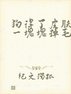 狗得了皮肤问题一块块掉毛