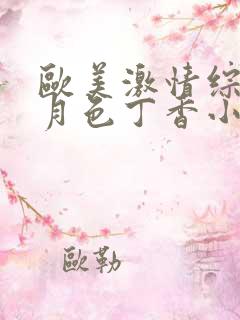 欧美激情综合五月色丁香小说