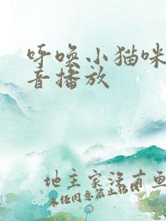 呼唤小猫咪的声音播放