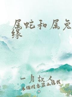 属蛇和属兔的姻缘