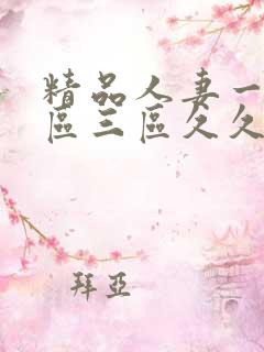 精品人妻一区二区三区久久夜夜嗨