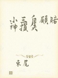 小三自愿赔偿精神损失