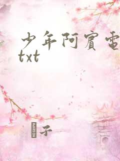 少年阿宾电子书txt