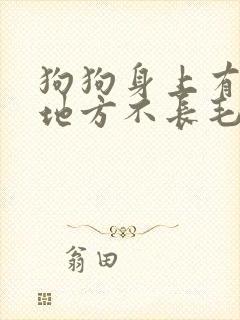 狗狗身上有一块地方不长毛