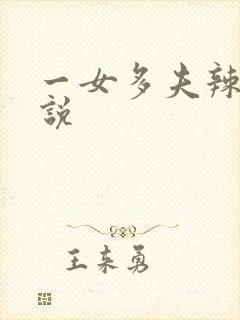 一女多夫辣文小说