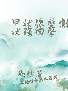 甲状腺双侧叶点状强回声