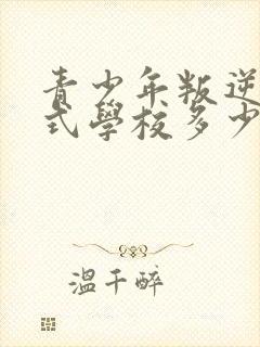 青少年叛逆封闭式学校多少钱