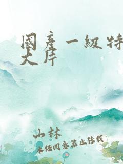 国产一级特黄v大片