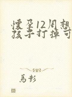 怀孕12周想把孩子打掉可以吗