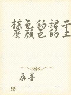 棕色的裙子配什么颜色的上衣