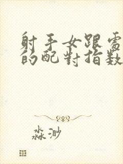 射手女跟处女男的配对指数