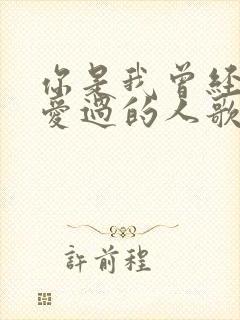 你是我曾经拼命爱过的人歌词是什么意思