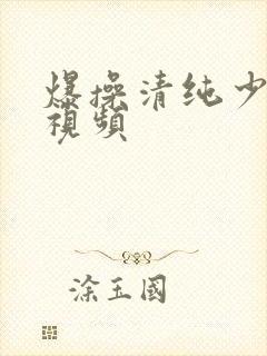 爆操清纯少妇的视频