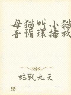 母猫叫小猫的声音循环播放