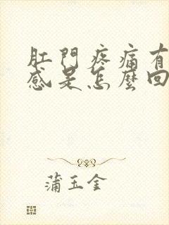 肛门疼痛有下坠感是怎么回事