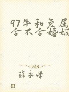 97牛和兔属相合不合婚姻