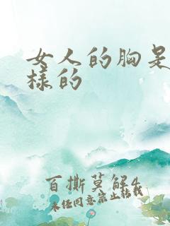 女人的胸是怎么样的