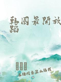 韩国最开放的舞蹈