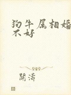 狗牛属相婚配好不好