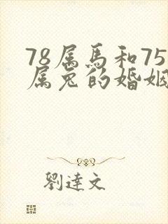 78属马和75属兔的婚姻如何