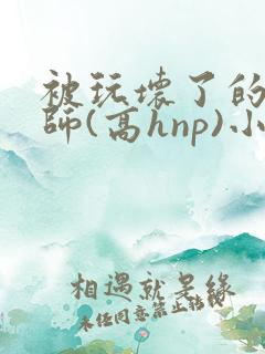 被玩坏了的女老师(高hnp)小说