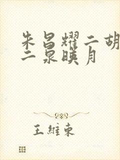 朱昌耀二胡独奏二泉映月