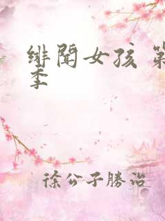 绯闻女孩 第二季