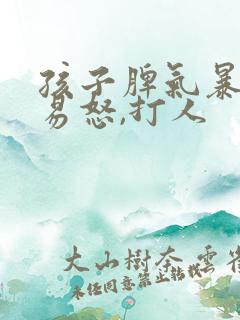 孩子脾气暴躁,易怒,打人