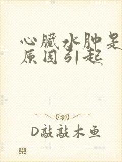 心脏水肿是什么原因引起