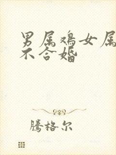 男属鸡女属牛合不合婚