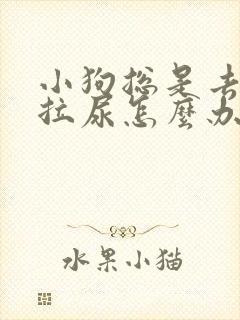 小狗总是去床上拉尿怎么办