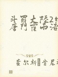 斗罗大陆2绝世唐门霍雨浩小说