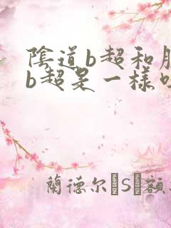 阴道b超和腹部b超是一样吗