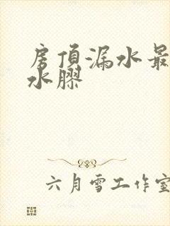 房顶漏水最好防水胶