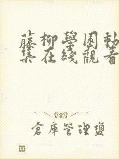 藤柳学园动漫全集在线观看免费