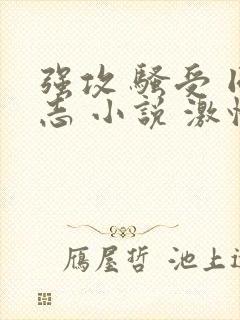 强攻 骚受 同志 小说 激情