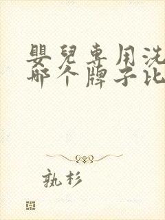 婴儿专用洗衣机哪个牌子比较好