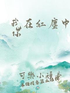 我在红尘中遇见你