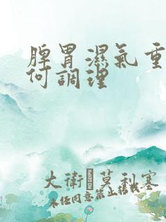 脾胃湿气重该如何调理