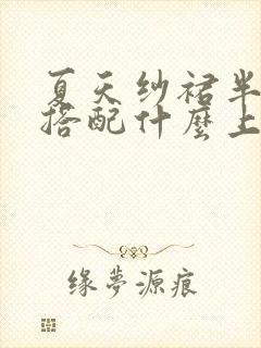 夏天纱裙半身裙搭配什么上衣好看