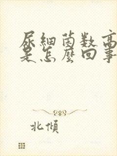 尿细菌数高很多是怎么回事