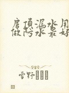 房顶漏水用什么做防水最好