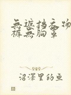 无遮挡衣物无内裤无胸罩