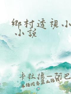 乡村透视小神医 小说