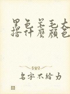 黑色羊毛大衣内搭什么颜色好看