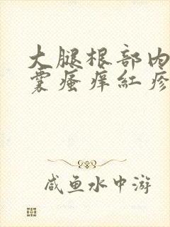 大腿根部内侧阴囊瘙痒红疹